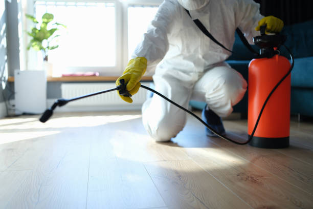 Reliable Odor Removal contractor in Berwyn, IL by Trauma Clean Pros